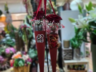 Crvena ruža romantična