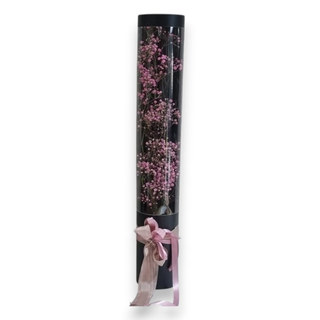 Box gypsophilia