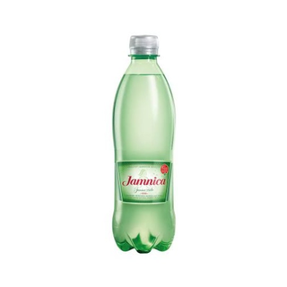 Jamnica 0,50l PET