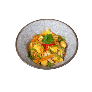 Chicken udon