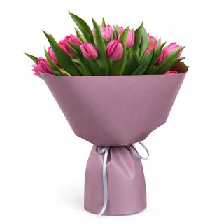 Buket tulipana L