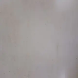 Pljeskavica sa sirom