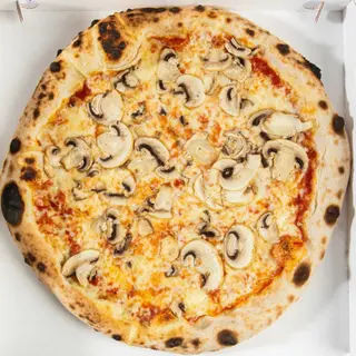 Pizza funghi