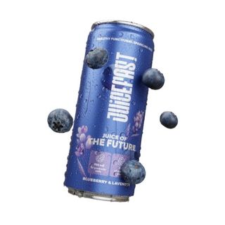 Kombucha Anti-stress borovnica i lavanda 330ml