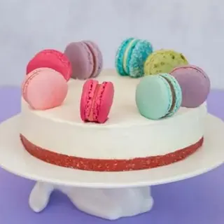 Macaron Cheesecake 10/1