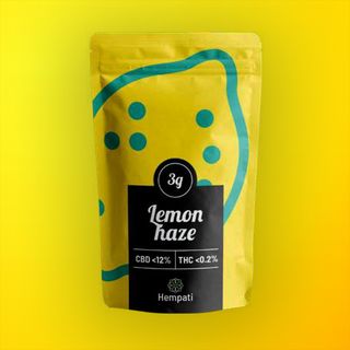 HEMPATI LEMON HAZE 3G