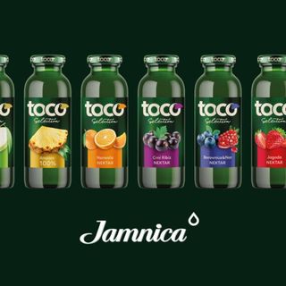 Toco Borovnica & Nar 0,25 L