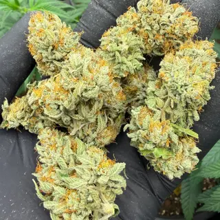 Proper mix 25g
