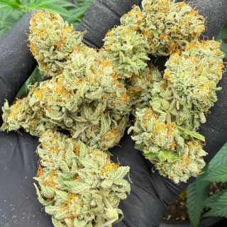 Proper mix 1g