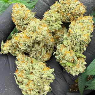 Proper mix 2g