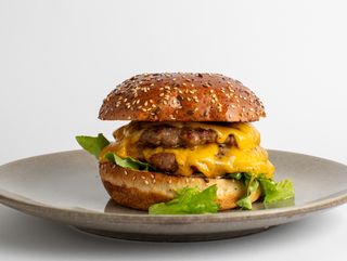 Double cheeseburger