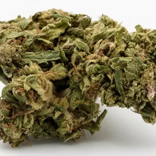 CBD Gaga 10g