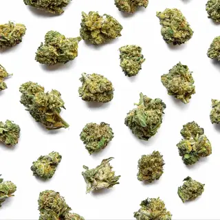 CBD cvijet Domaćica 2.0 25g