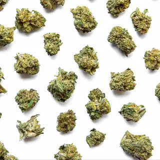 CBD Cvijet Domaćica 2.0 25g