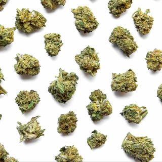 CBD Cvijet Domaćica 2.0 25g