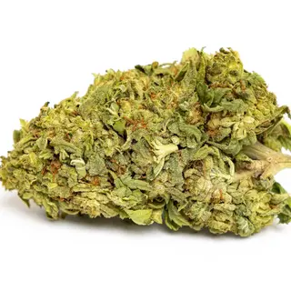 CBG Cvijet Moonshine 25g