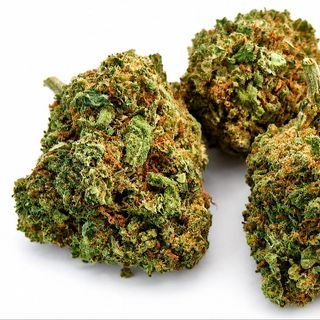 CBD Cvijet Garuto 2g