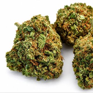 CBD Cvijet Garuto 5g