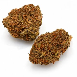 CBD Cvijet Magnum 5g