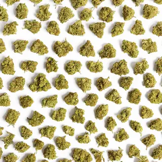 CBD Cvijet Sunny Pop 25g