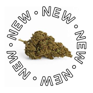 CBD Neptune 5g