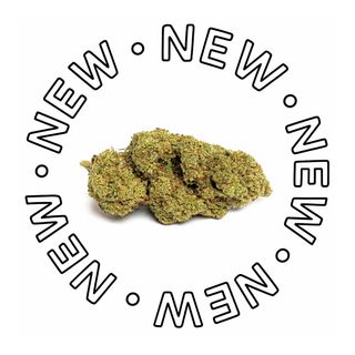 CBD Frosty 5g