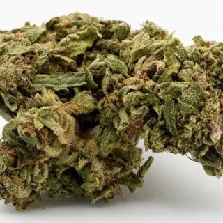 CBD Gaga 10g