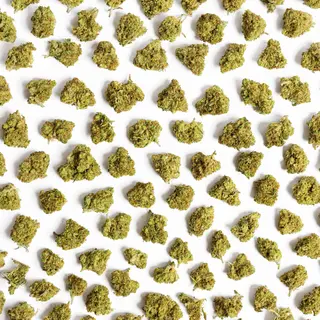 CBD Sunny Pop 25g