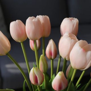 Tulipan blush REAL TOUCH komad