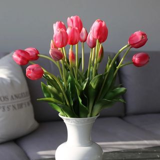 Tulipani rozi