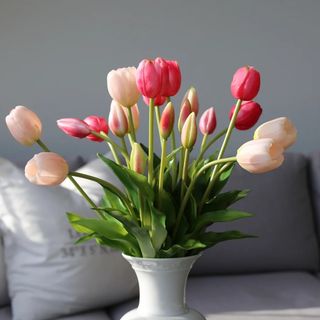 Tulipani blush-rozi