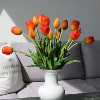 Tulipani naranđasti