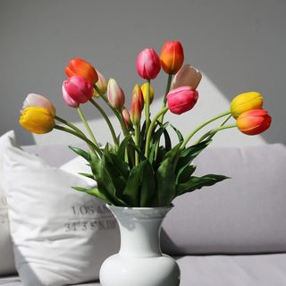Tulipani šareni