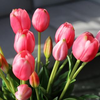 Tulipan rozi REAL TOUCH komad