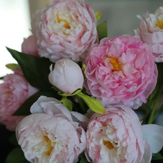 Peony rozi REAL TOUCH komad