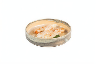 Sashimi Gambero