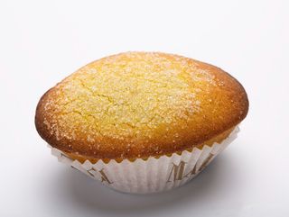  Pasticciotto medio 100% vegetale