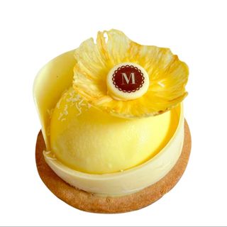 MONOPORZIONE MIMOSA- LIMITED