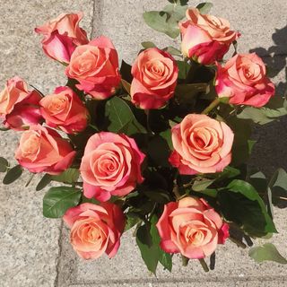 12 rose medie