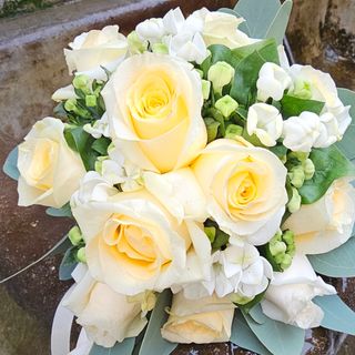 3 Rose medie
