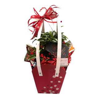 Ardisia in Bag