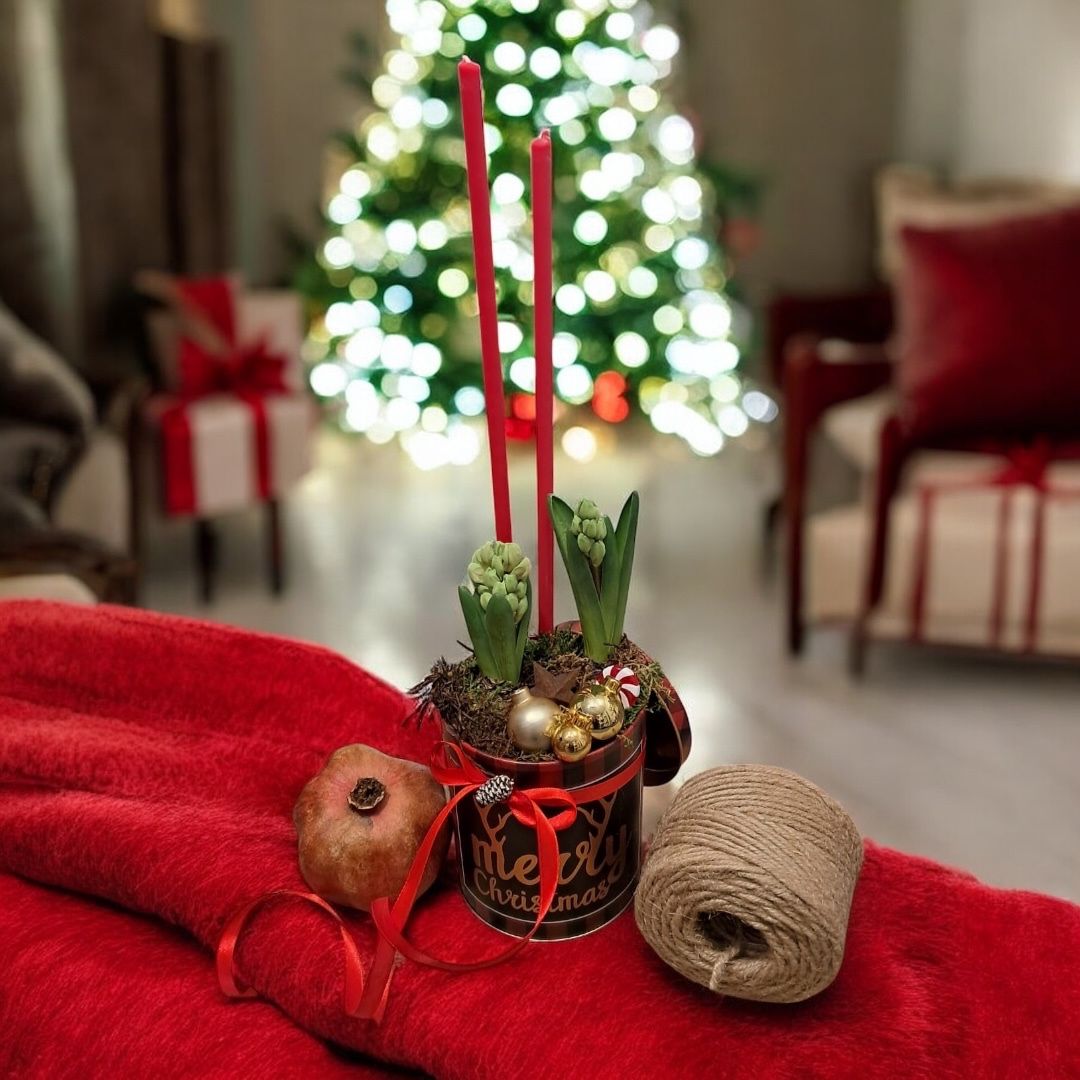 Special Collections 2025