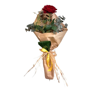Rosa rossa