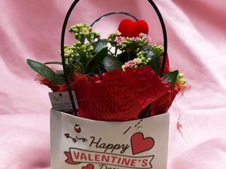 Kalandiva grande in bag