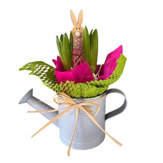 innaffiatoio con giacinti