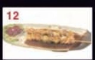 12 Spiedini di pollo