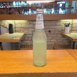 Ginger Beer 33 cl