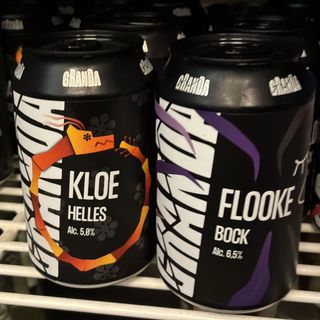 BOCK FLOOKE - ROSSA