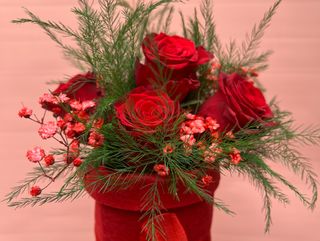 Pot rose rosse