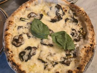 Campagnola